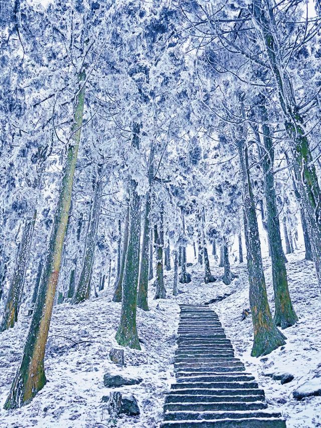 南岳衡山賞雪，沒有攻略真心勸你別去！！
