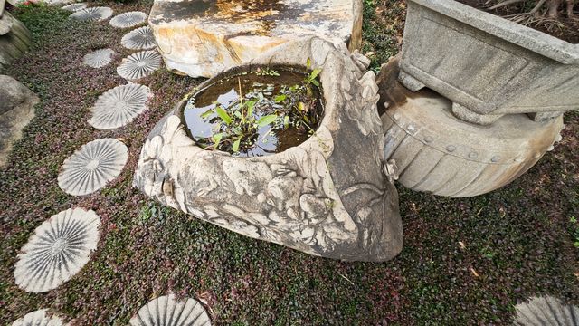 陳村花卉世界銘園的小玩意