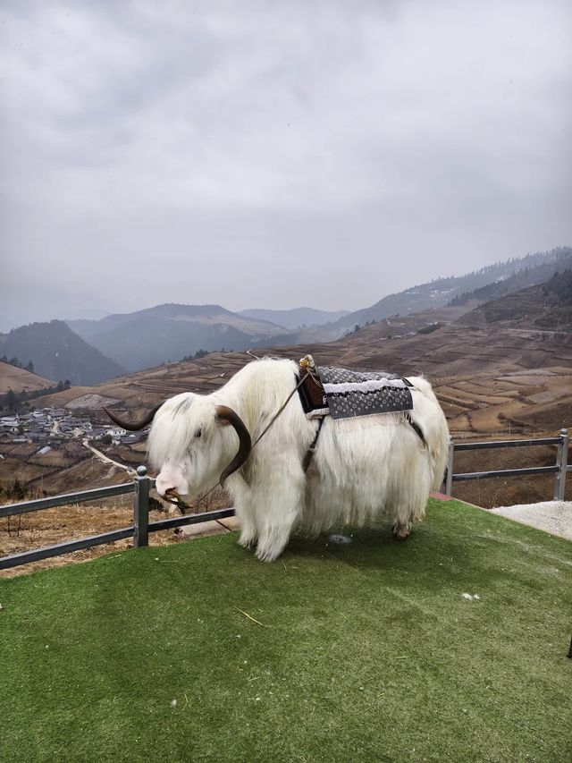 哈巴雪山