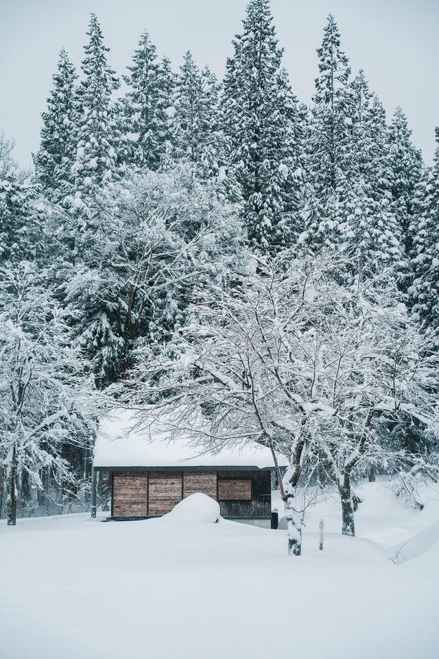 徒步林海雪原我又發現了一個日本秘境