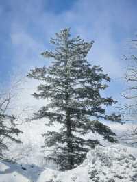 2日暢遊雪鄉等地 真溫泉洗禮心靈不踩坑