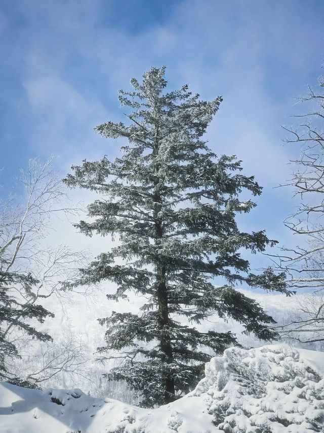 2日暢遊雪鄉等地 真溫泉洗禮心靈不踩坑