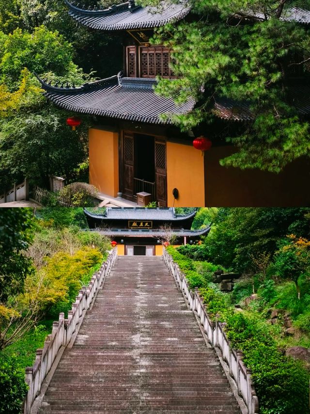 天然氧吧，泰山後山玉泉寺