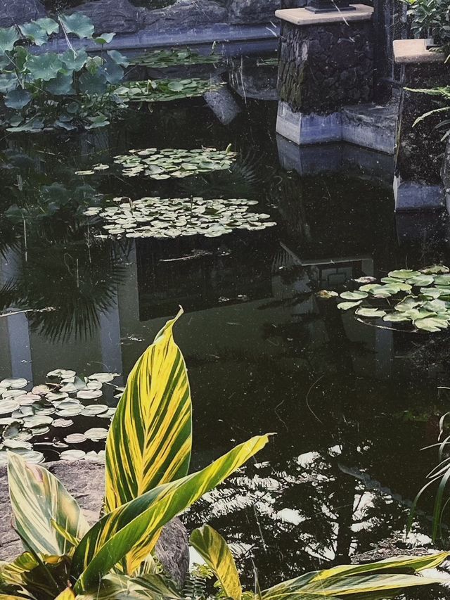 真溫泉就在廣東河源