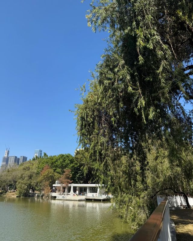 人民公園：邂逅愜意，暢享休閒時光