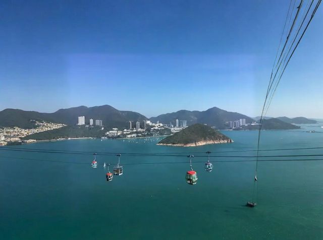 2025 香港海洋公園遊玩攻略，讓你輕鬆刷遍熱門設施