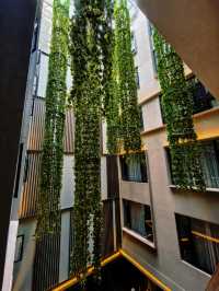 麗江呢個神仙酒店!!!下次仲要嚟