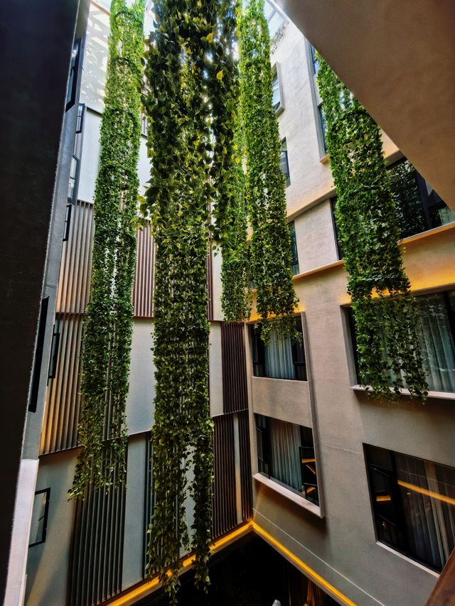 麗江呢個神仙酒店!!!下次仲要嚟 麗江呢個神仙酒店!!!下次仲要嚟