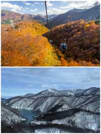 雪國夢境|新潟苗場高原龍朵拉空中纜車，開啟雲端奇遇
