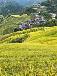 龍脊梯田-三江老友記超全旅遊攻略別錯過