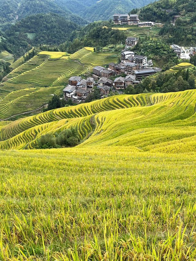 龍脊梯田-三江老友記超全旅遊攻略別錯過