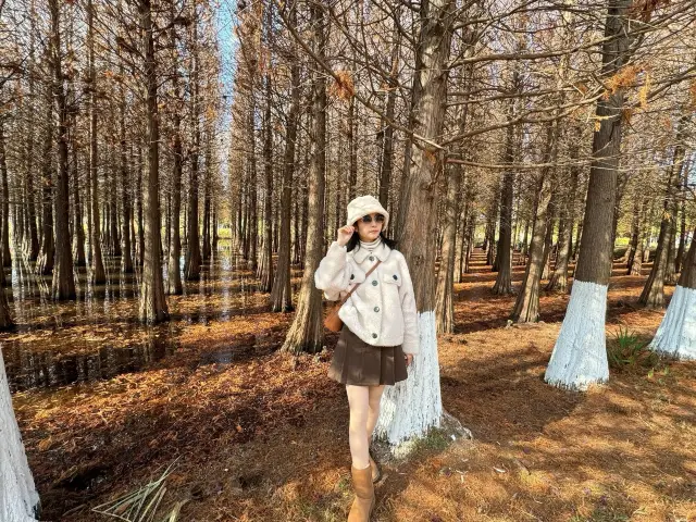 Kunming | Not a Transfer Station, but a Destination