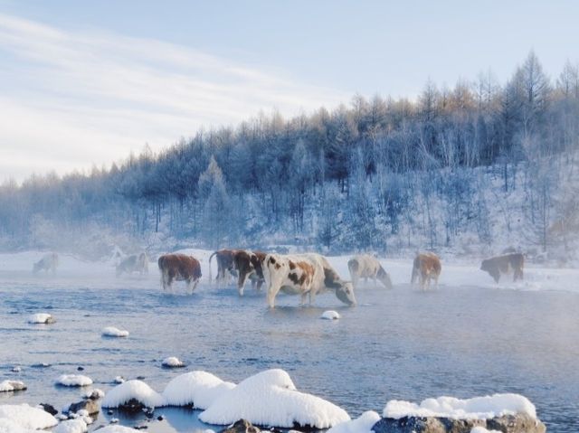 反向旅行！景美人少小眾賞雪地被我找到了