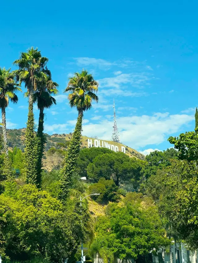 A Route to Understand the Western US: The Best Choice for Traveling to the US from February to May