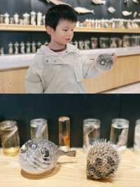 陵水出海｜海南一場特別的親子體驗