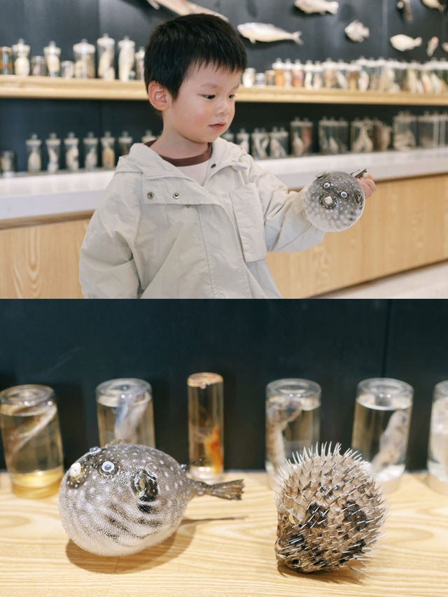 陵水出海｜海南一場特別的親子體驗