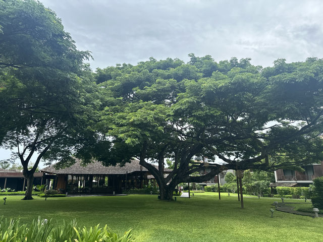 按頭安利～芭堤雅安達仕酒店 親子遊