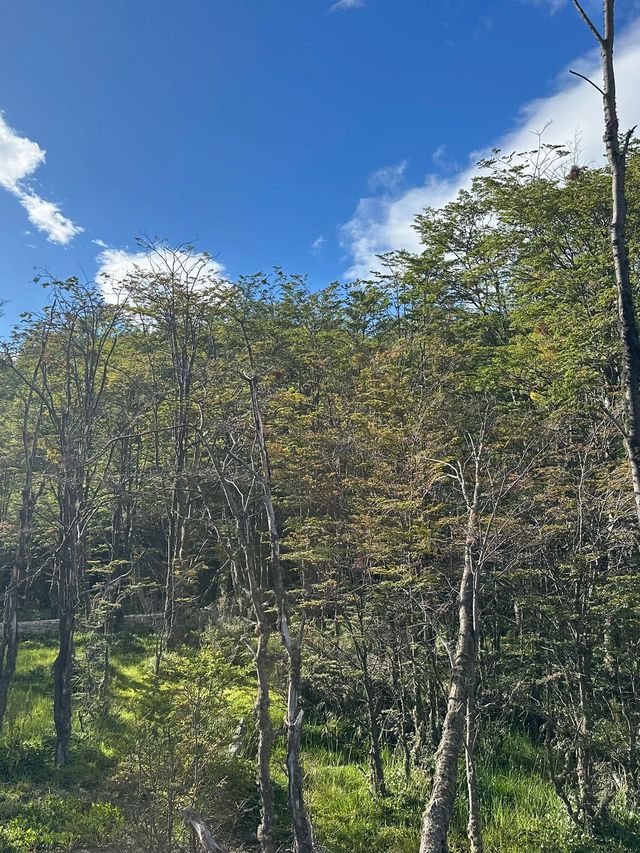 巴西等多國34日長者遊 慢享旅程攻略