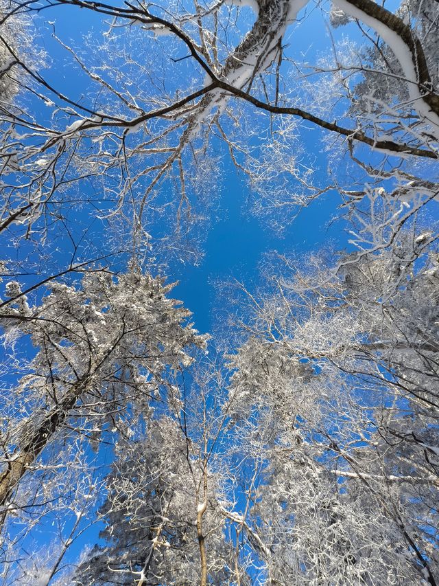老里克湖徒步||喜歡玩雪的我很開心~~