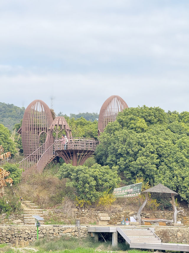 廣州從化宮崎駿風麥田打卡全攻略 |