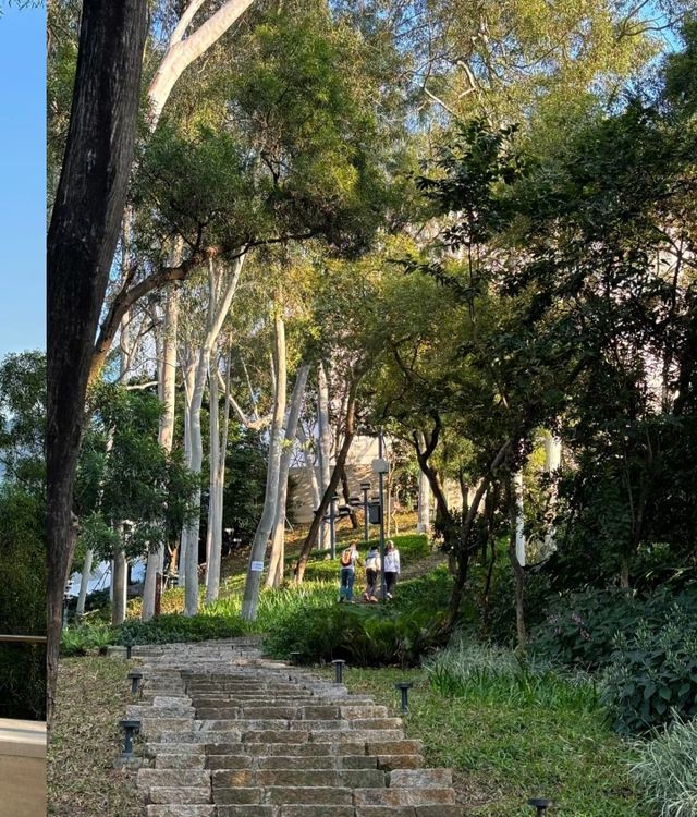 好天氣不容錯過|深圳市區小眾公園！