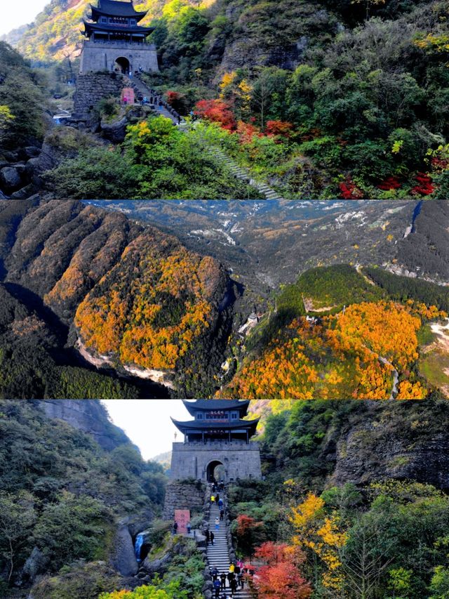 12天暢遊成都等地 超實用攻略助你玩得盡興