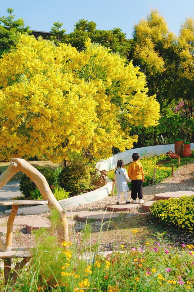 美哭花花世界又來廣州兒童公園