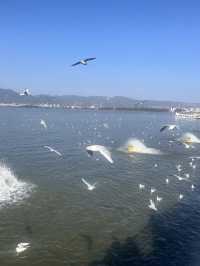 6日暢遊雲南昆明-大理-洱海 超詳細攻略來襲