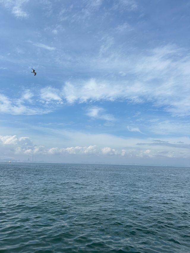 大連旅遊攻略 大連旅遊攻略