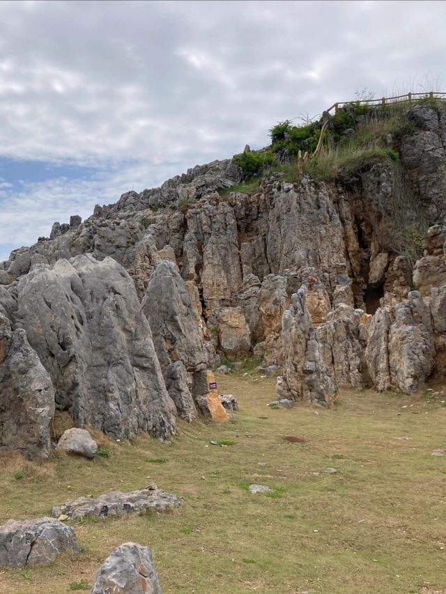 宜昌百里荒高山草原風景區