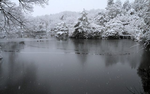 【京都· 龍安寺雪景·2025】