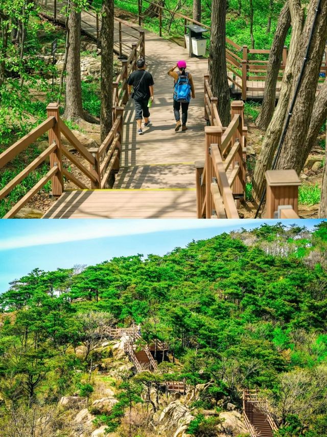 濟寧周邊｜山林美景，自由呼吸