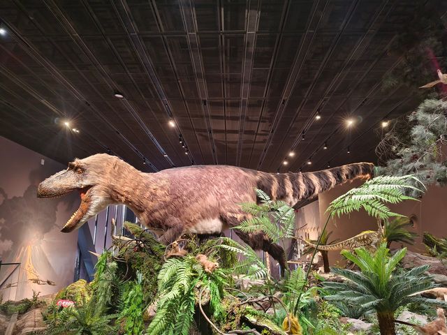 旅行日記丨河北→保定【中國古動物館】