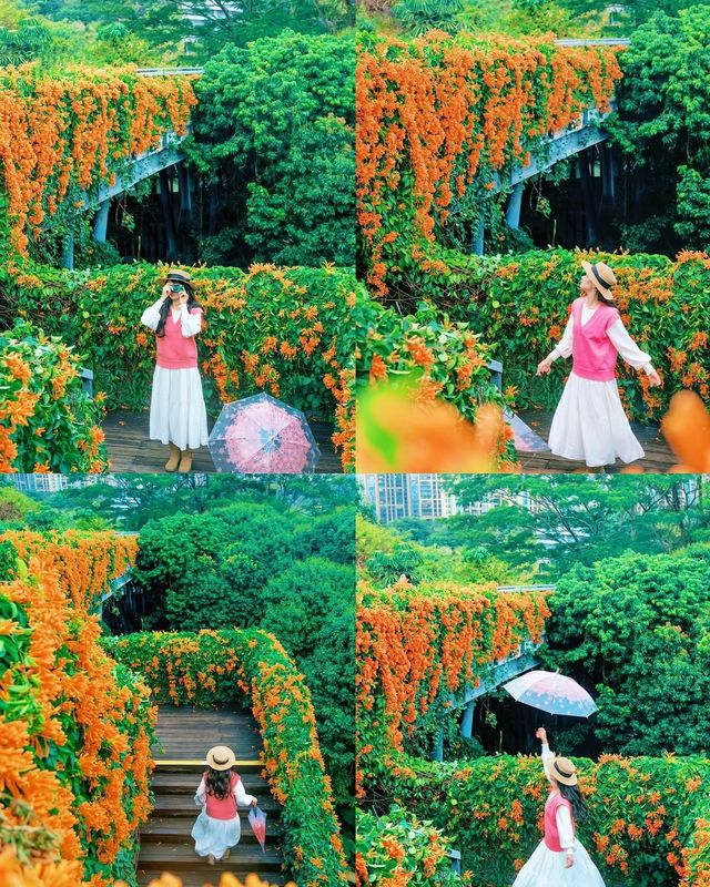 深圳春日賞花必去花海大集合，立即收藏！