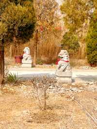 打卡郭老家村，穿越600年歷史的光影之旅