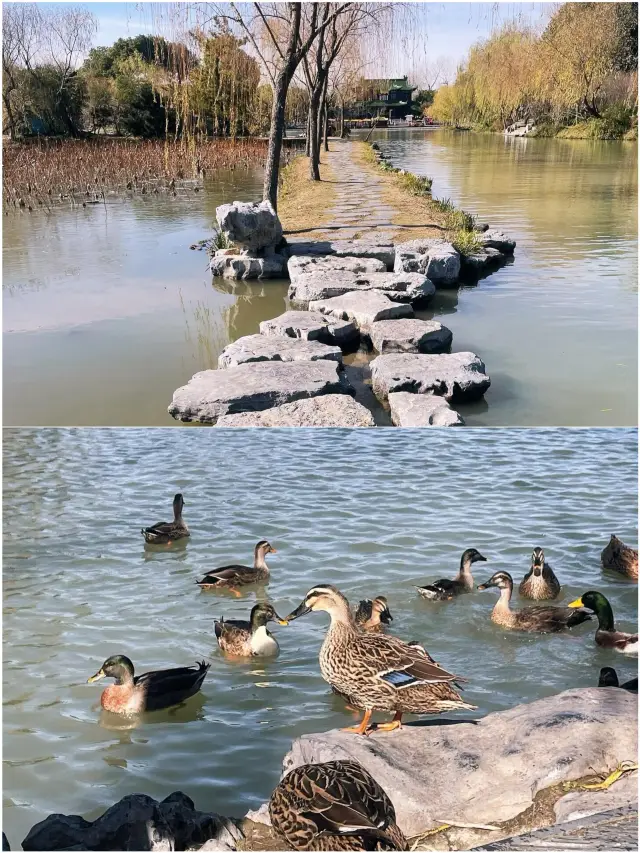 揚州怎麼玩，直接複製這條攻略