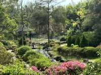 探索梅里達植物園：邂逅尤卡坦的自然奇觀與植物瑰寶！