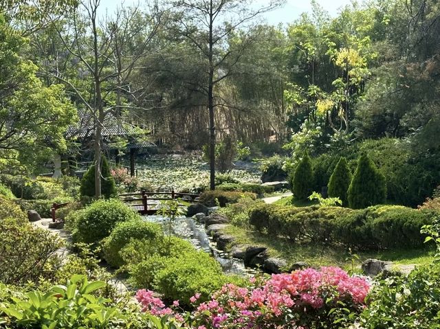 探索梅里達植物園：邂逅尤卡坦的自然奇觀與植物瑰寶！