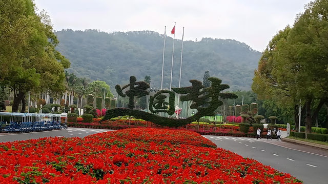 漳州花博園：花海盛宴與生態樂園的完美結合