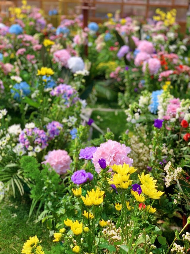 市中心的莫奈花園，蘇河灣萬象天地