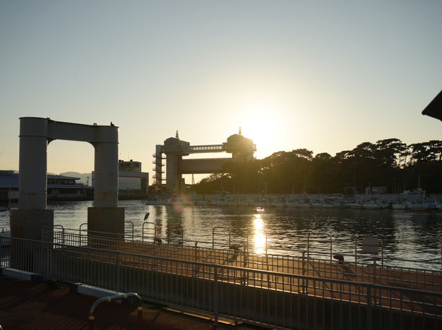 昭和感深海沼津港灣一日遊 新鮮海鮮滿喫！#東京近郊