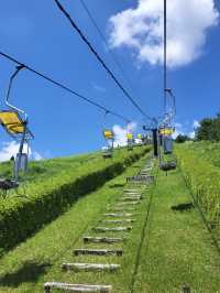 浪漫霧島：神話之里公園的絕美風光與甜蜜回憶