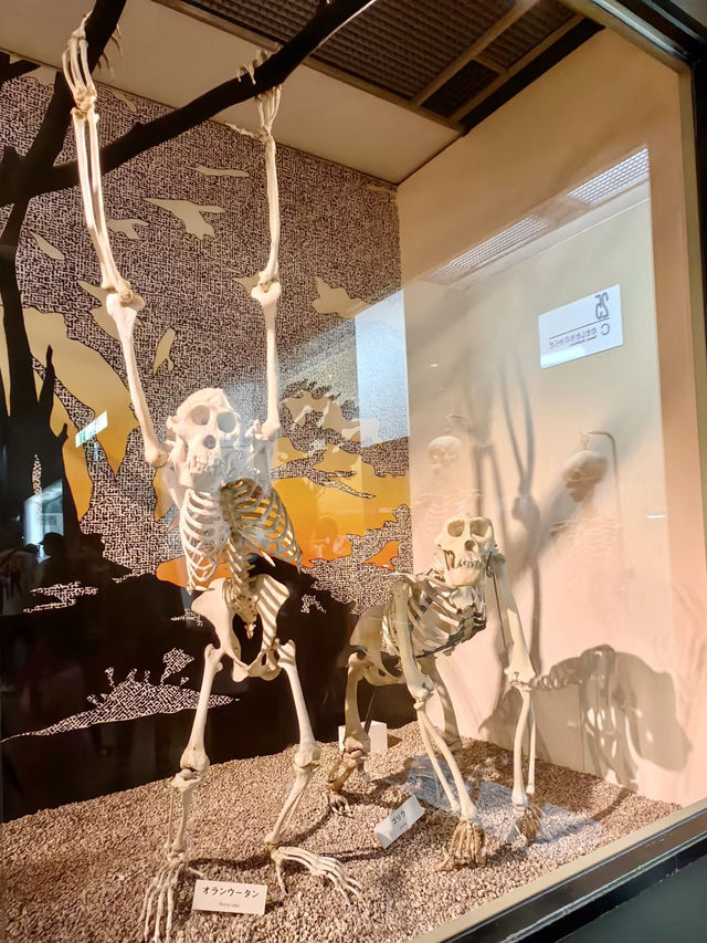自然之書：漫步大阪的時光足跡