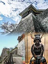 必收藏！日本松山超正玩法，小眾又珍貴