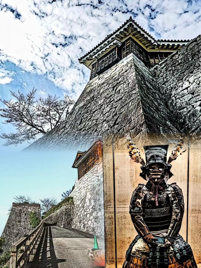 必收藏！日本松山超正玩法，小眾又珍貴