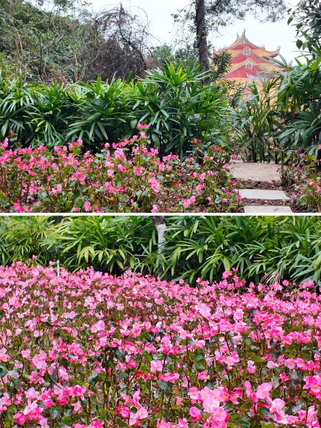 仙岳公園踏青攻略！週末帶上小夥伴一起賞花