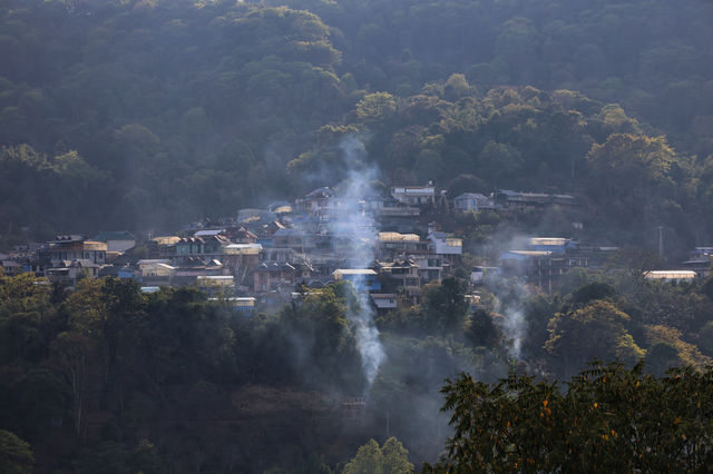 西雙版納南糯山，茶山十公里「慢搖」路線！
