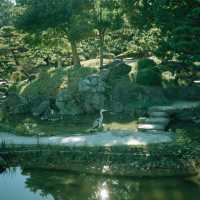 清澄庭園｜在日本最愜意的一個下午🌳