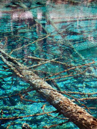3-Day Jiuzhai Valley Tour: A Super Detailed Guide