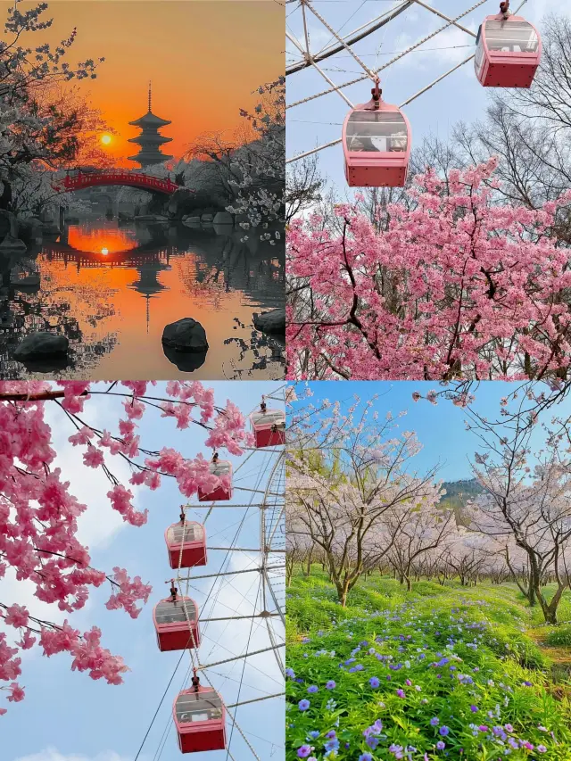 3월 벚꽃 시즌에는 꼭 우한의